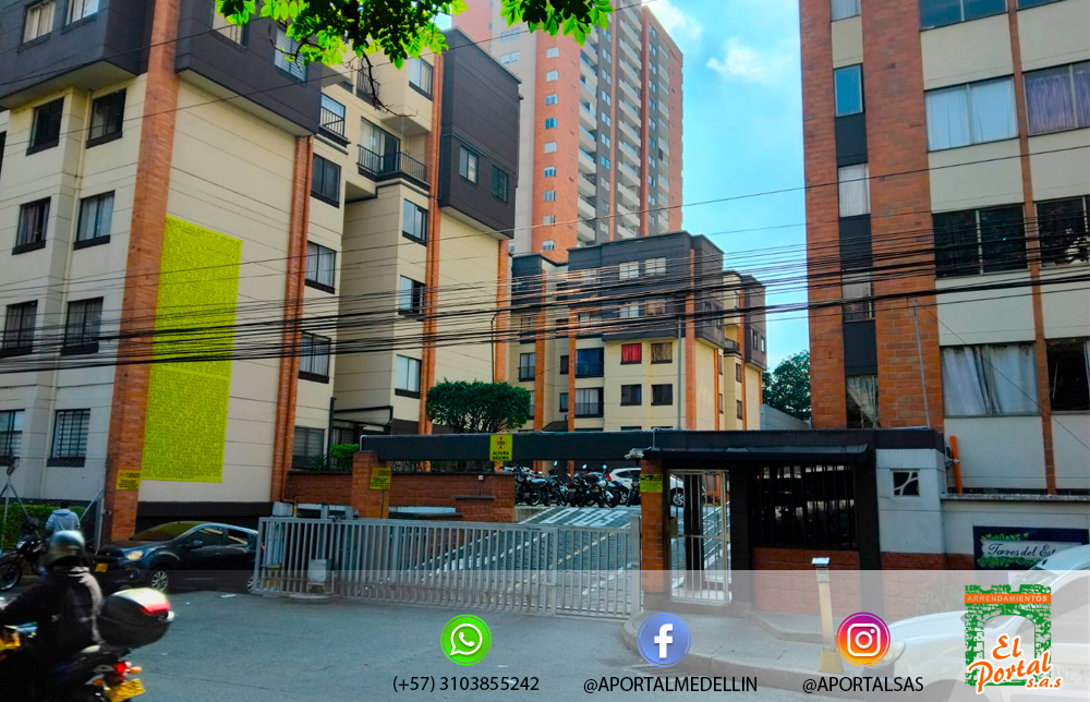 Local Comercial en colores